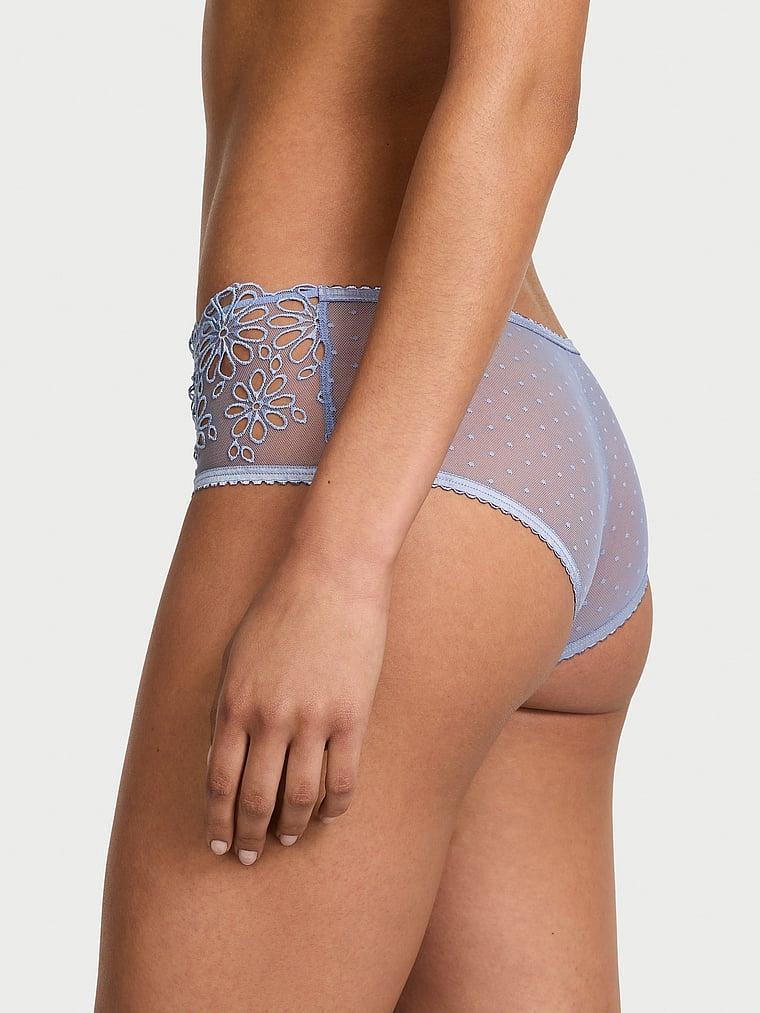 Eyelet Mesh Cheeky Panty Product Image