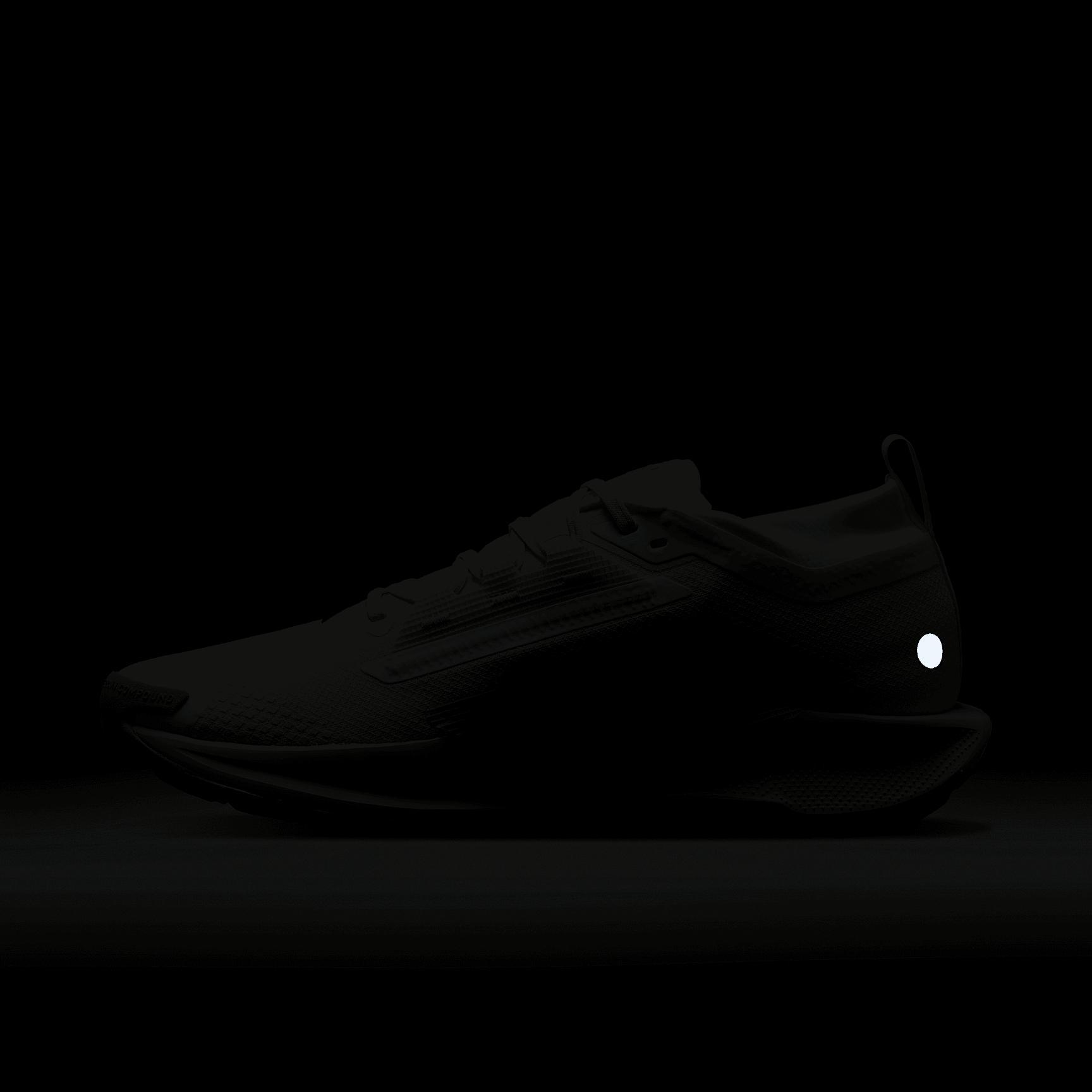 Nike Men's Pegasus Trail 5 GORE-TEX Waterproof Trail Running Shoes Product Image