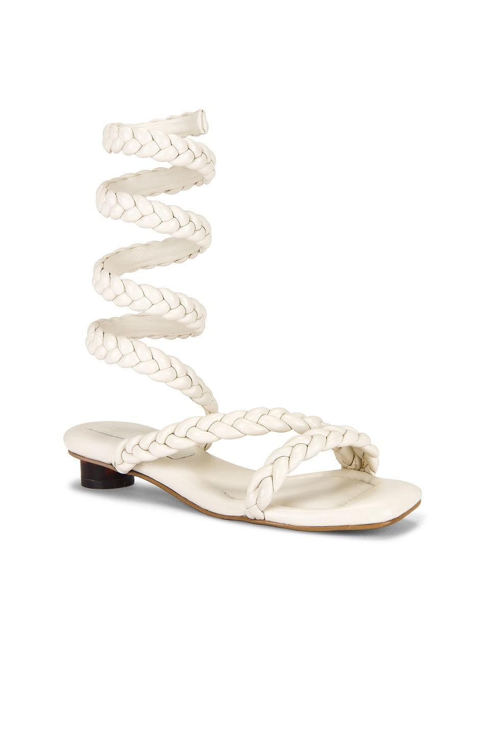 Roma Trenza Sandal Nora Lozza Product Image