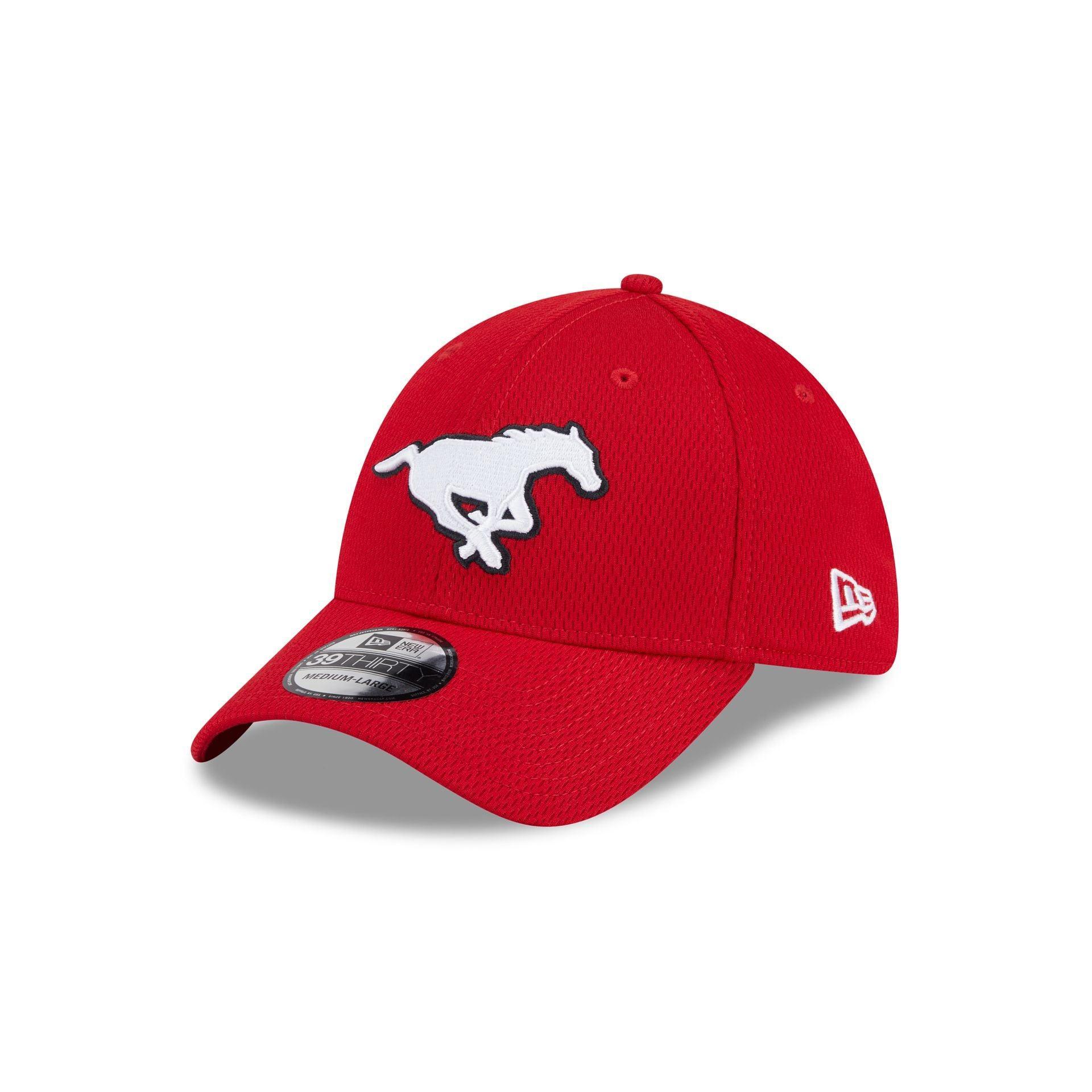 Tennessee Titans Team Classic 39THIRTY Stretch Fit Hat Male Product Image