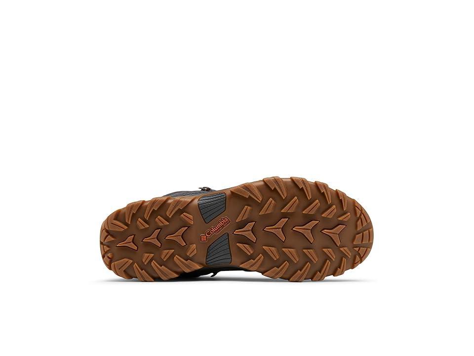 Columbia Men's Newton Ridge Plus II Suede Waterproof Hiking Boot- Product Image