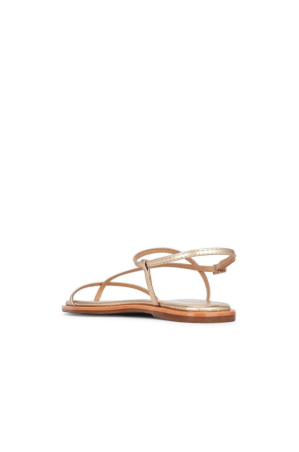 Alayta Sandal Kaanas Product Image