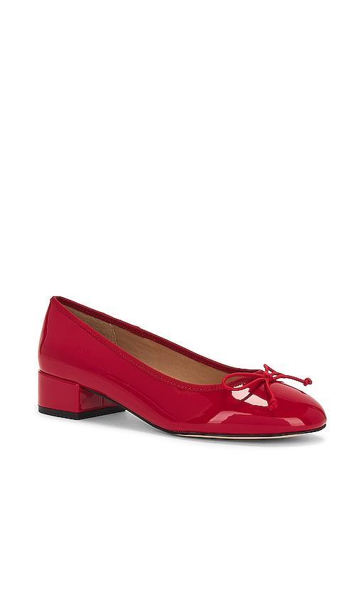 Cherish Flat Steve Madden Product Image