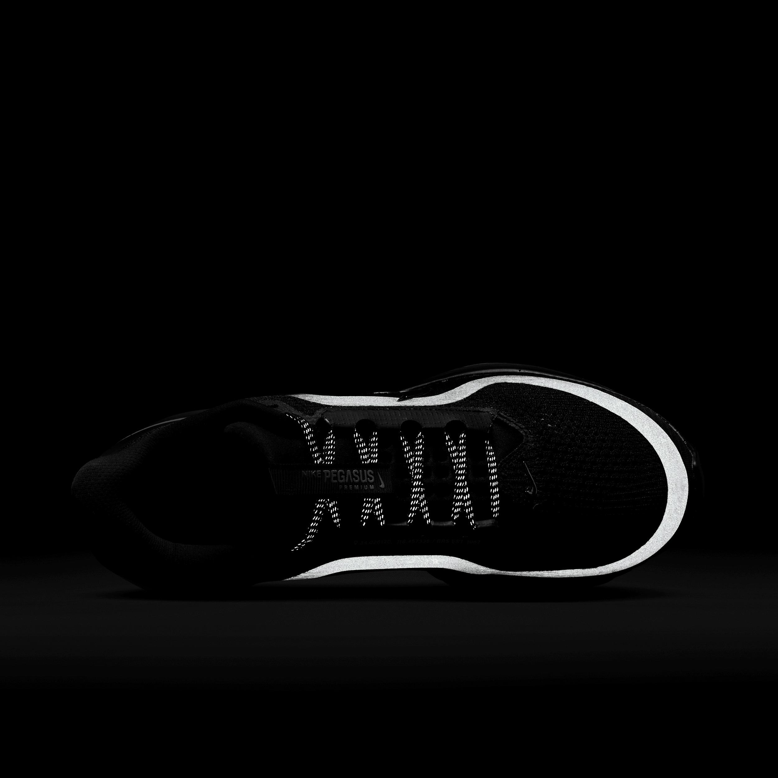Nike Women's Pegasus Premium Road Running Shoes Product Image