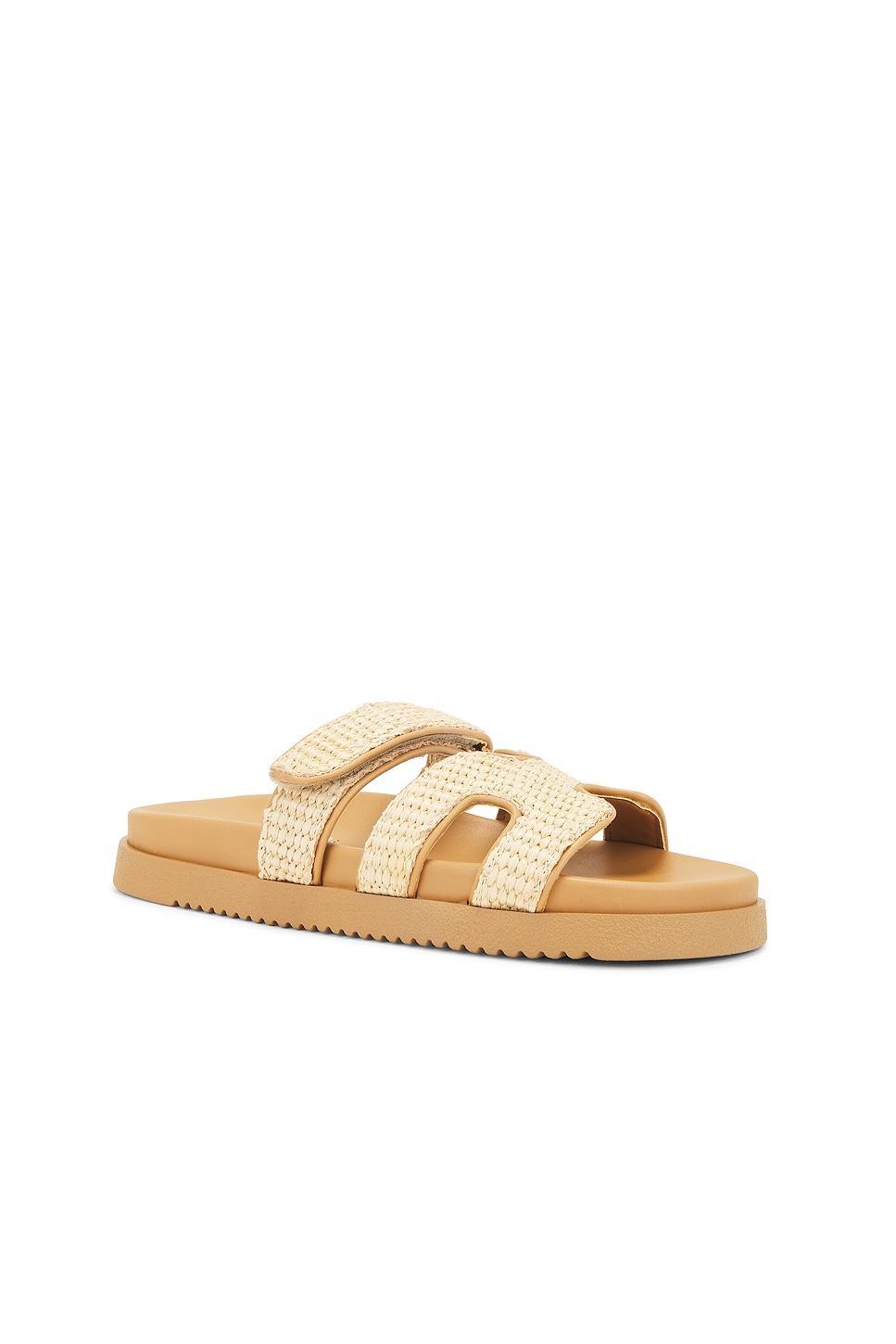 Mayven Sandal in Steve Madden Product Image