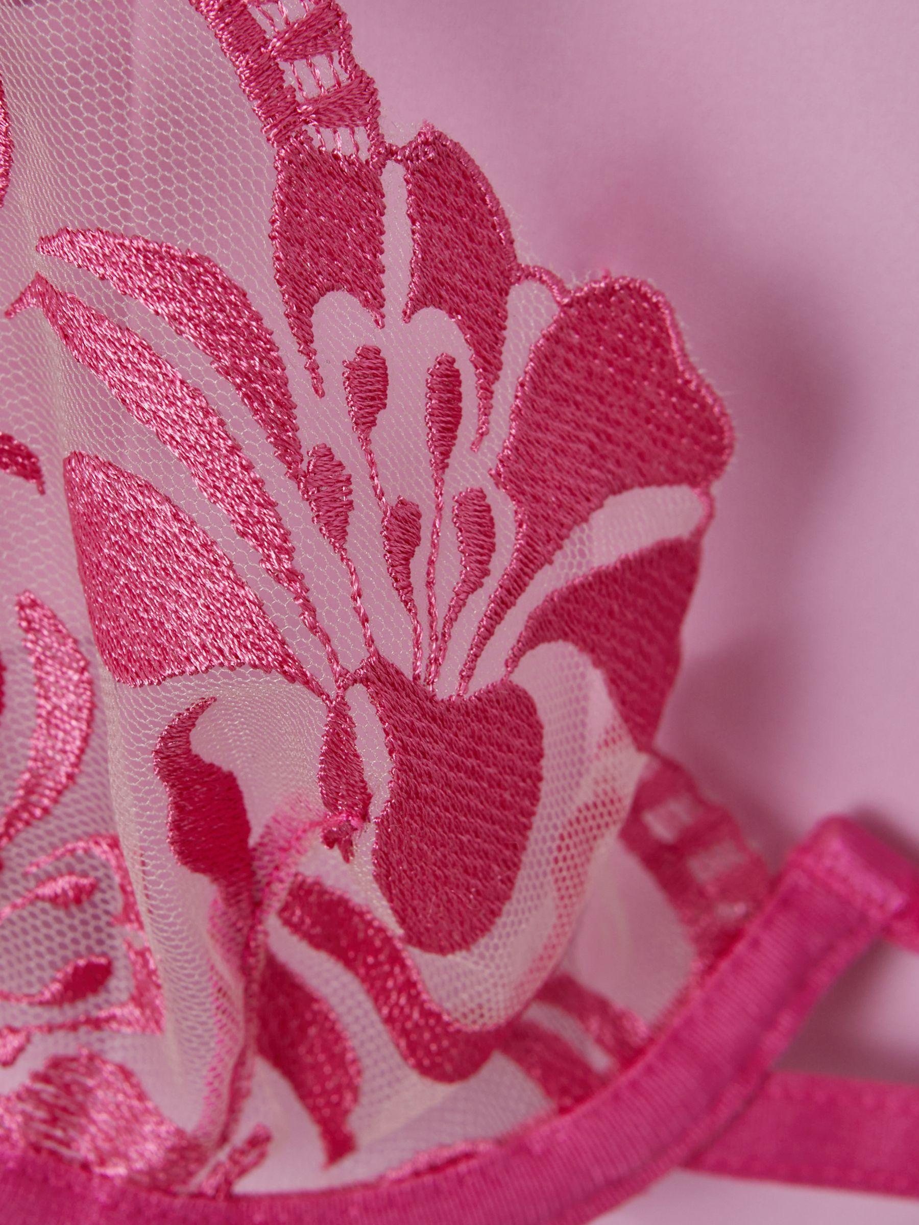 Bluebella Mesh Embroidered Bra in Fuchsia Pink Product Image