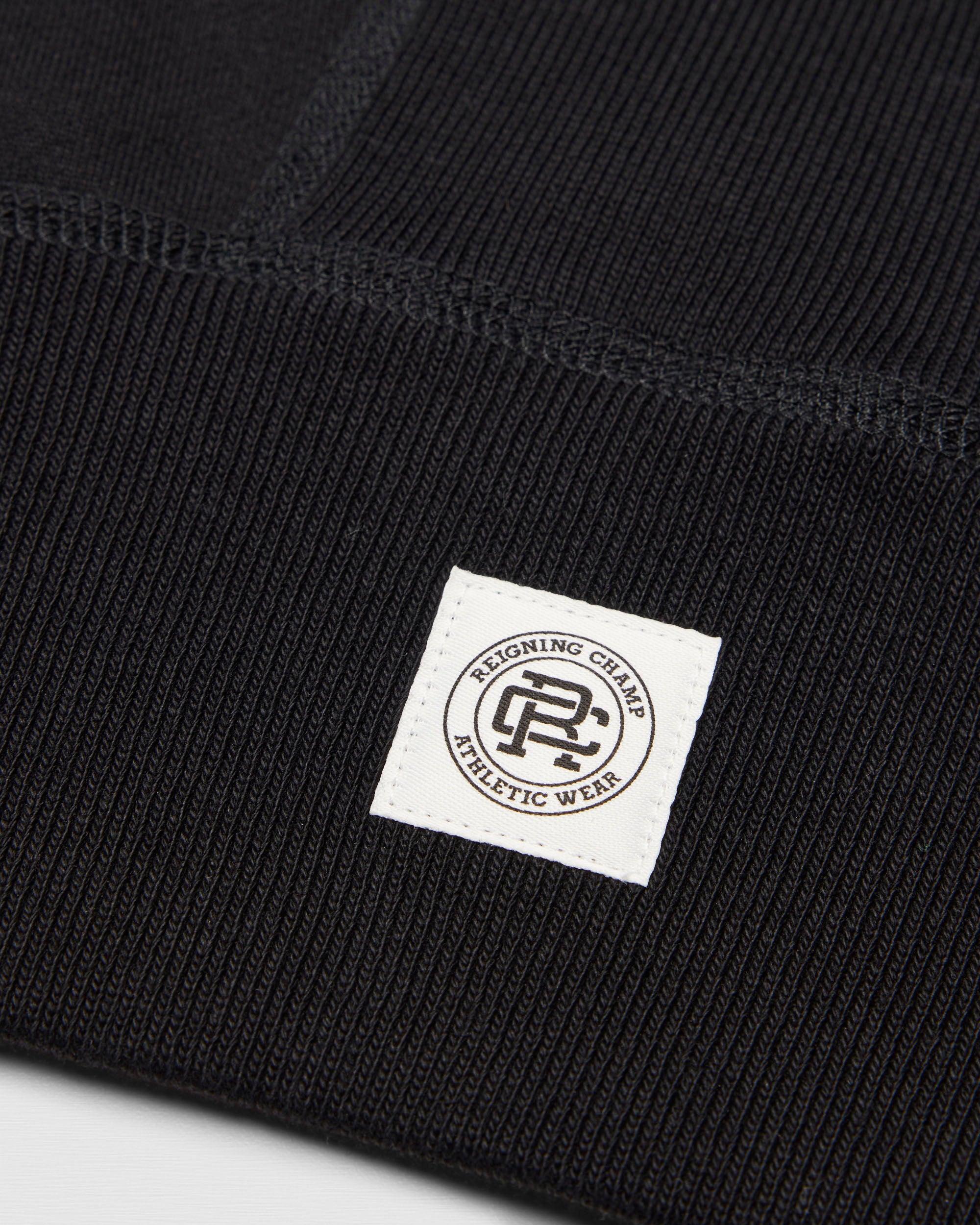 Midweight Terry Standard Hoodie Male Product Image