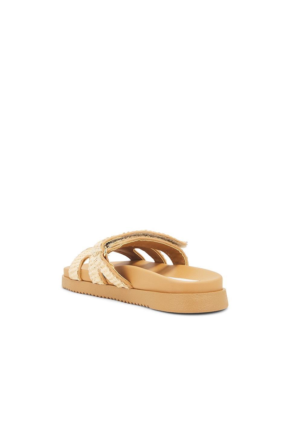Mayven Sandal in Steve Madden Product Image