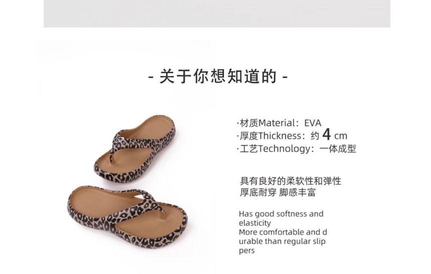 Leopard Print Platform Thong Sandals Product Image