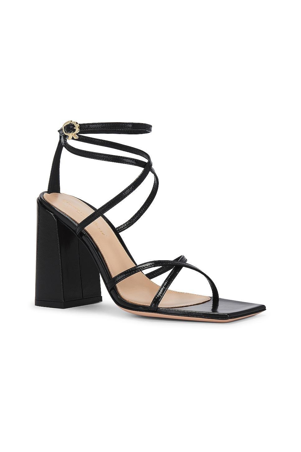 Gianvito Rossi Strappy Sandal Product Image