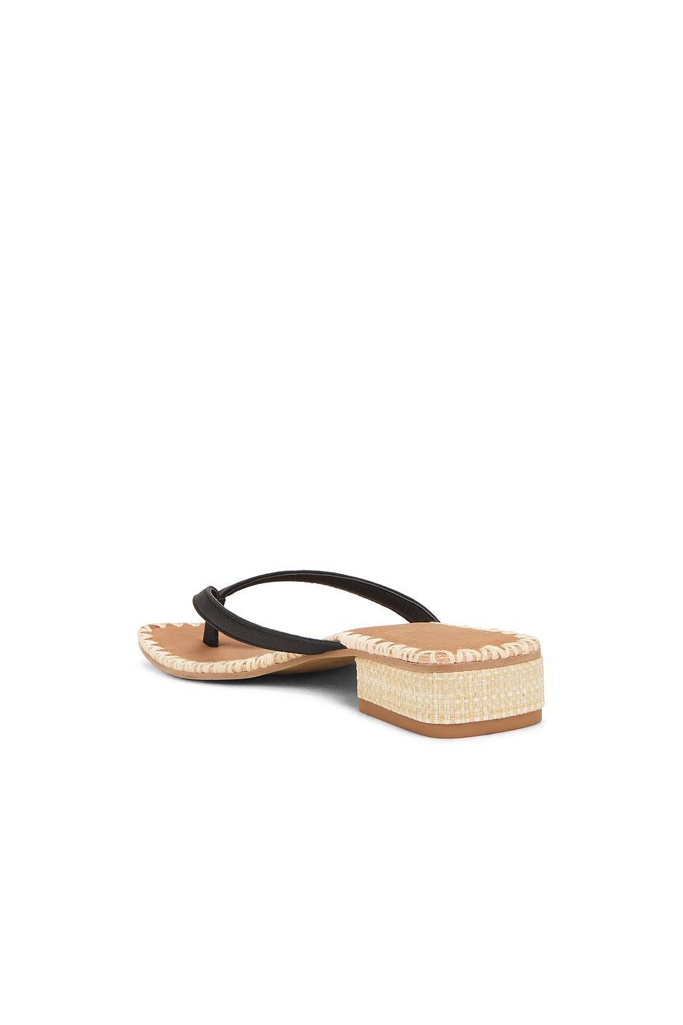 Barty Sandal Dolce Vita Product Image