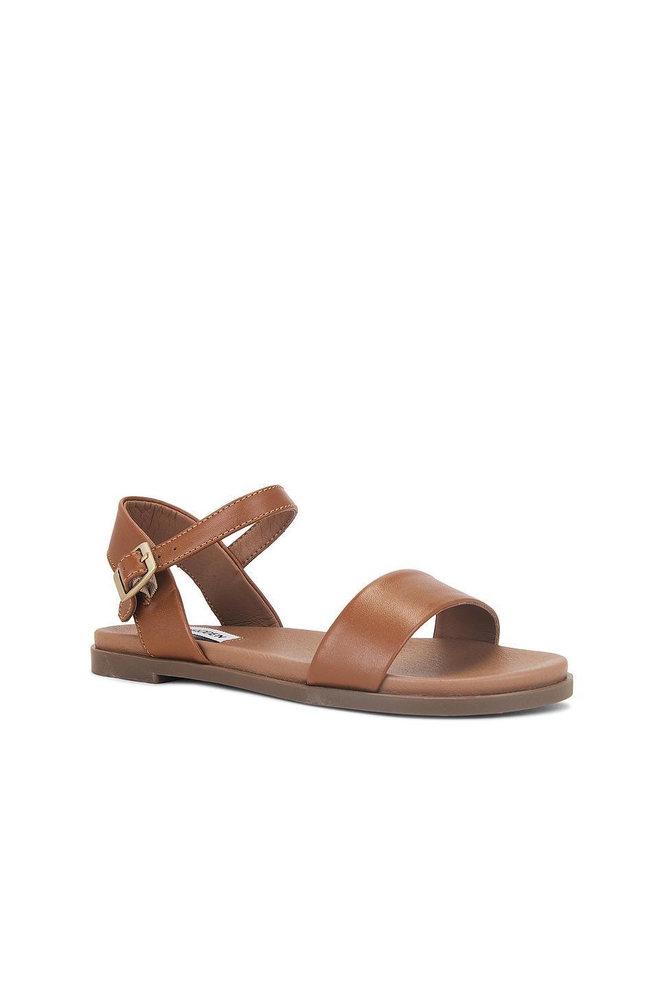 Dina Sandal Steve Madden Product Image