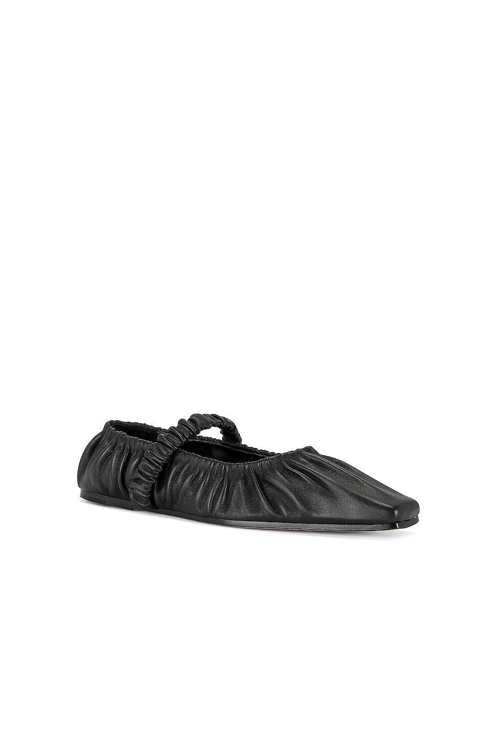 Zadie Ballet Flat Studio Amelia Product Image