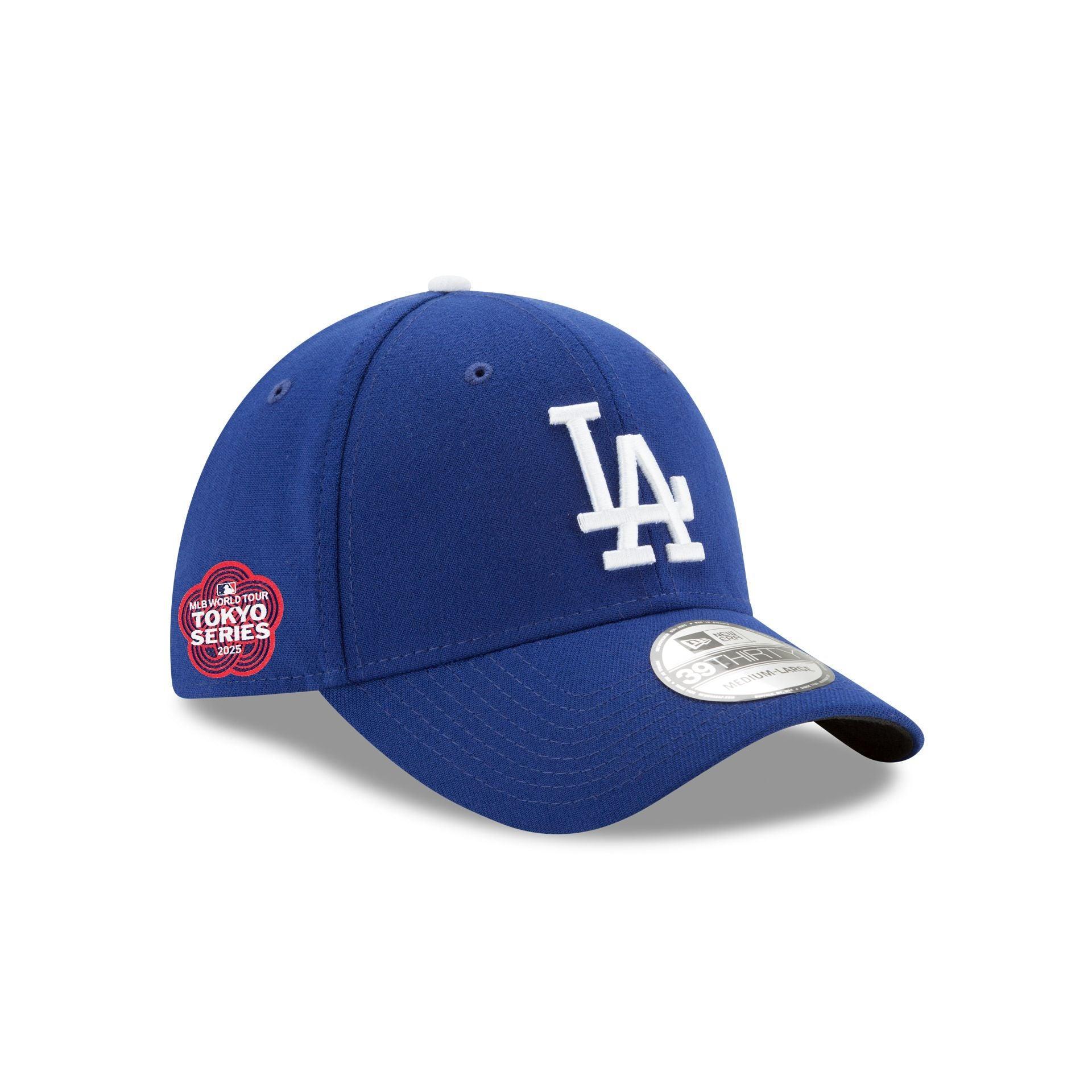 Washington Wizards Team Classic 39THIRTY Stretch Fit Hat Male Product Image
