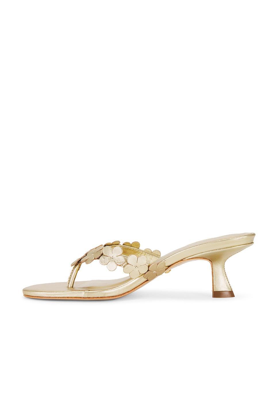 Zoey Sandal RAYE Product Image