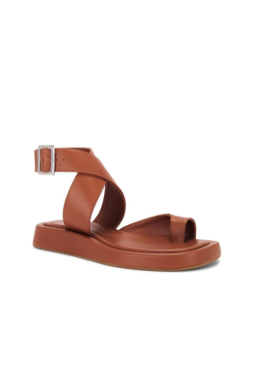 x REVOLVE Roxanne Sandal GIA BORGHINI Product Image