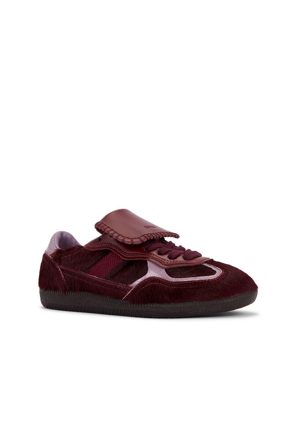 Tb.490 Club Sneaker ALOHAS Product Image