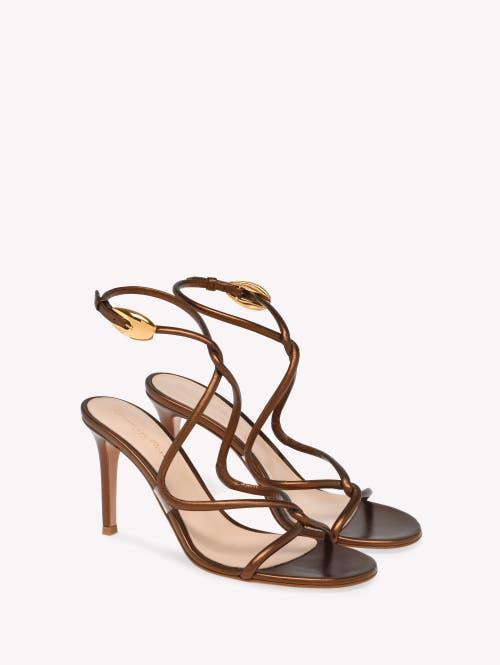 GIANVITO ROSSI Black Mamba 85 Sandals In Brown Product Image