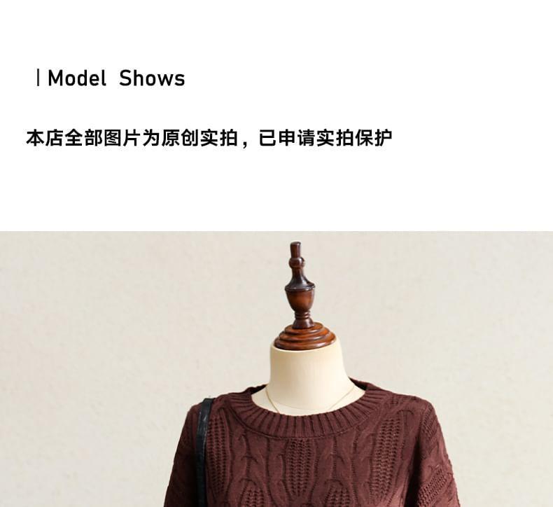 Crew Neck Plain Cable Knit Sweater Product Image