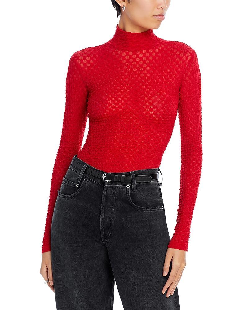 Frame Mesh Lace Turtleneck Top Product Image