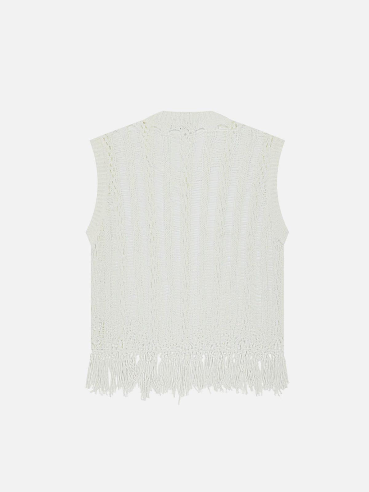 Aelfric Eden Open Knit Tassel Sweater Vest Product Image