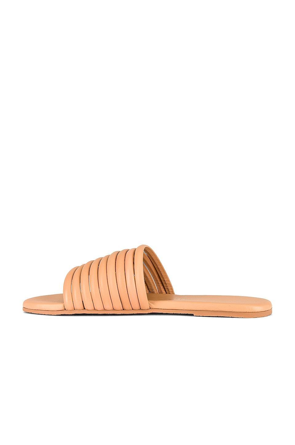 Caro Sandal TKEES Product Image
