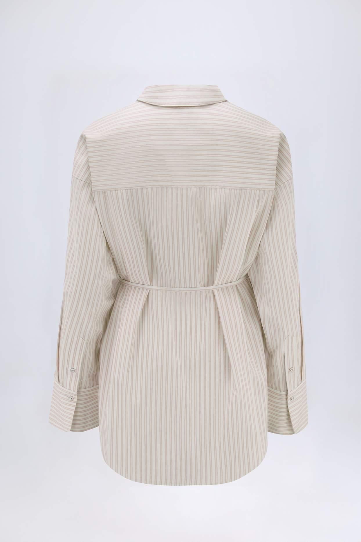 Oversized Cotton-Poplin Shirt in Taupe Stripe Product Image