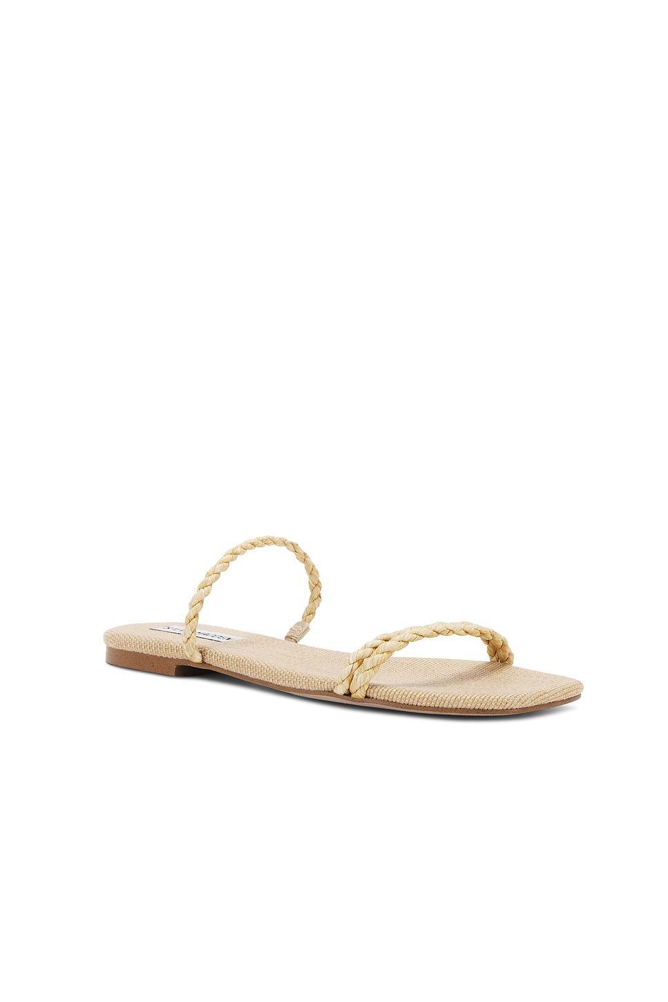 Tahiti Sandal Steve Madden Product Image
