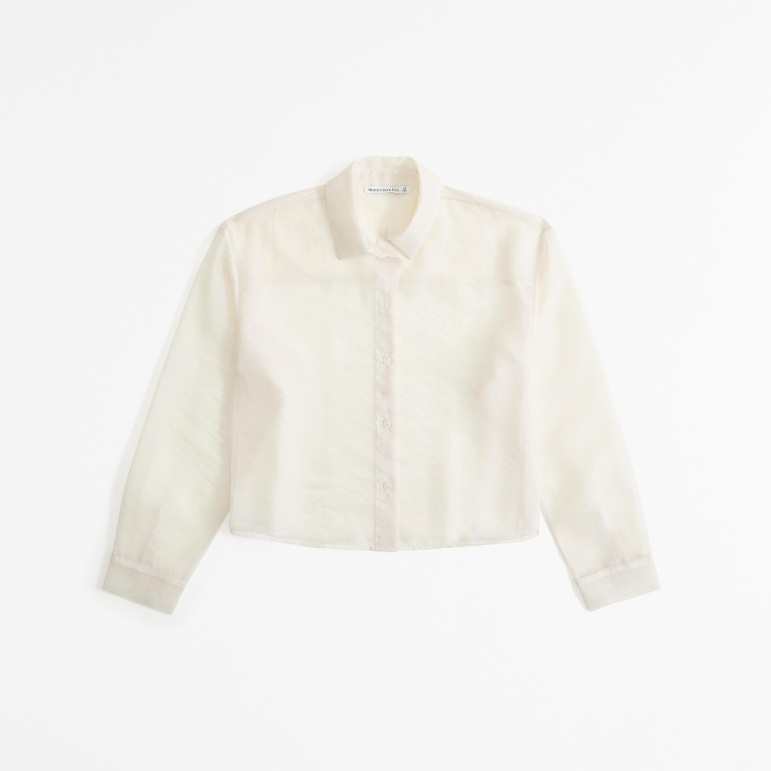 Long-Sleeve Sheer Shirt Product Image