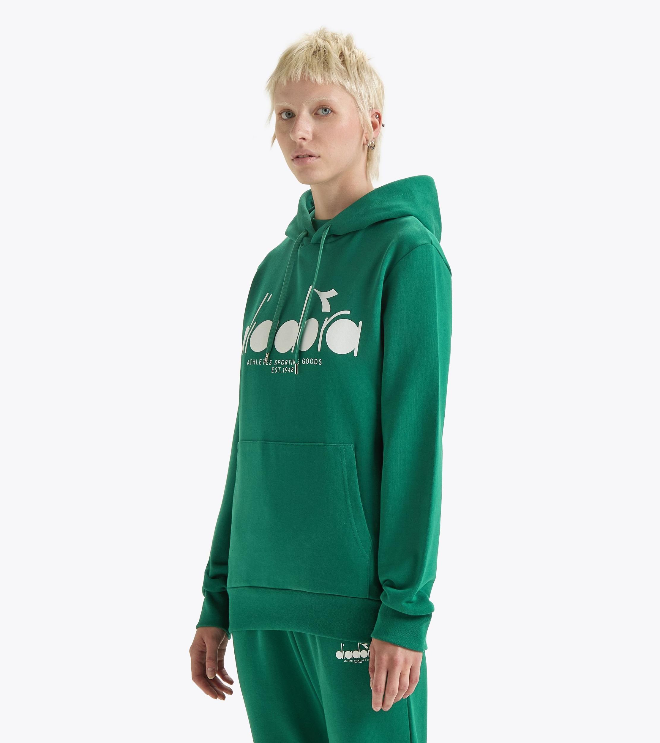 HOODIE LOGO Product Image