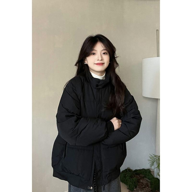Stand Collar Plain Zip-Up Puffer Jacket Product Image