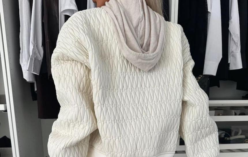 Stand Collar Plain Quilted Zip-Up Jacket Product Image