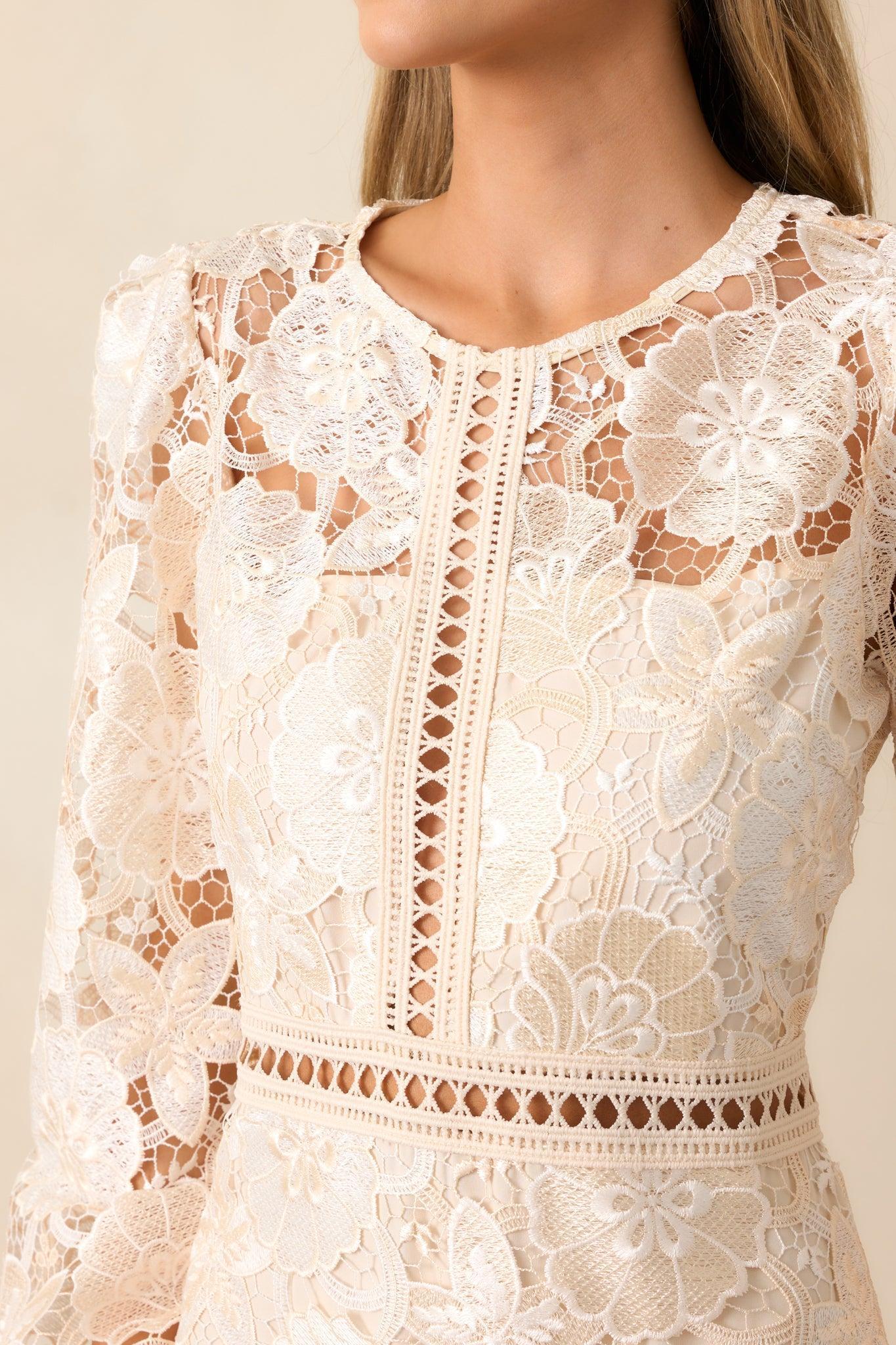 Keep It Authentic Ivory Floral Embroidered Mini Dress Product Image