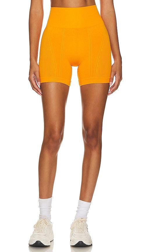 Womens Barre Seamless Shorts Product Image
