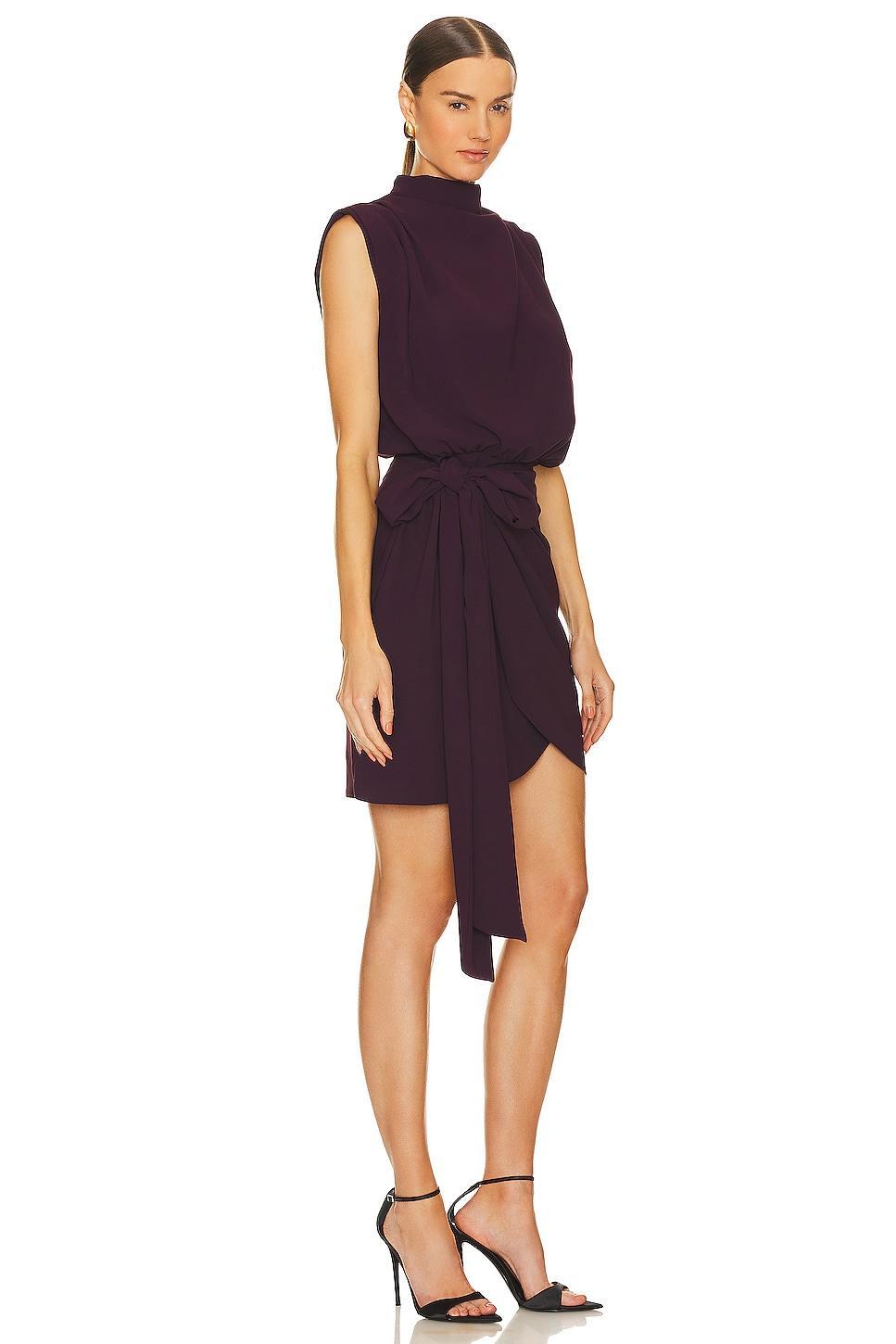 Fabiola Mini Dress Product Image