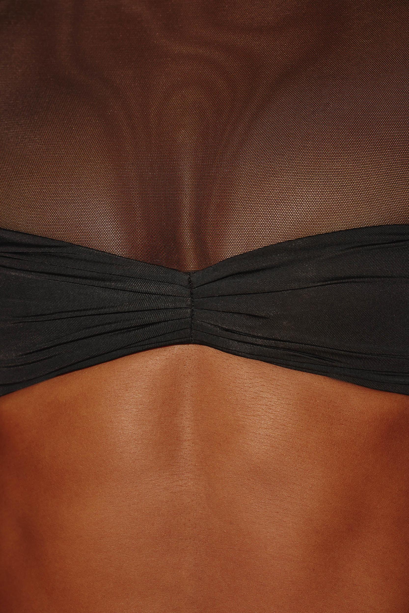 Sheer Panelled Long Sleeve Crop Top in Black Product Image