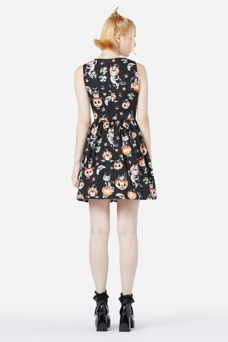 Pumpkin Patch Kitty Dress Product Image