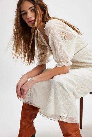 Anna Sui Poppy Embroidered Chiffon Maxi Dress Product Image