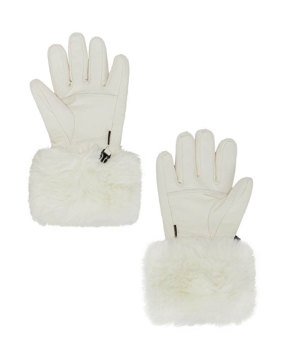 Lady Gloves Product Image