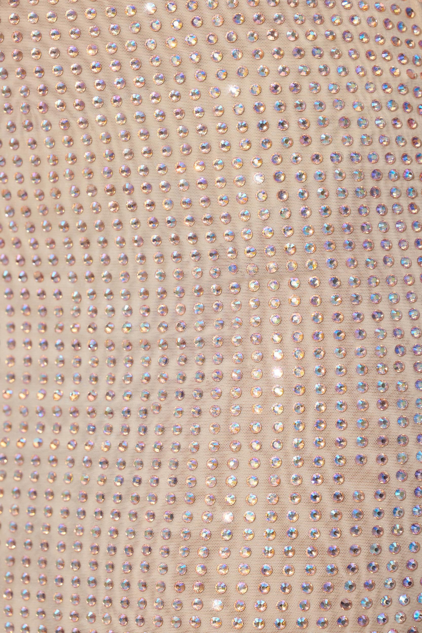 Embellished Mid Rise Maxi Skirt in Champagne Product Image