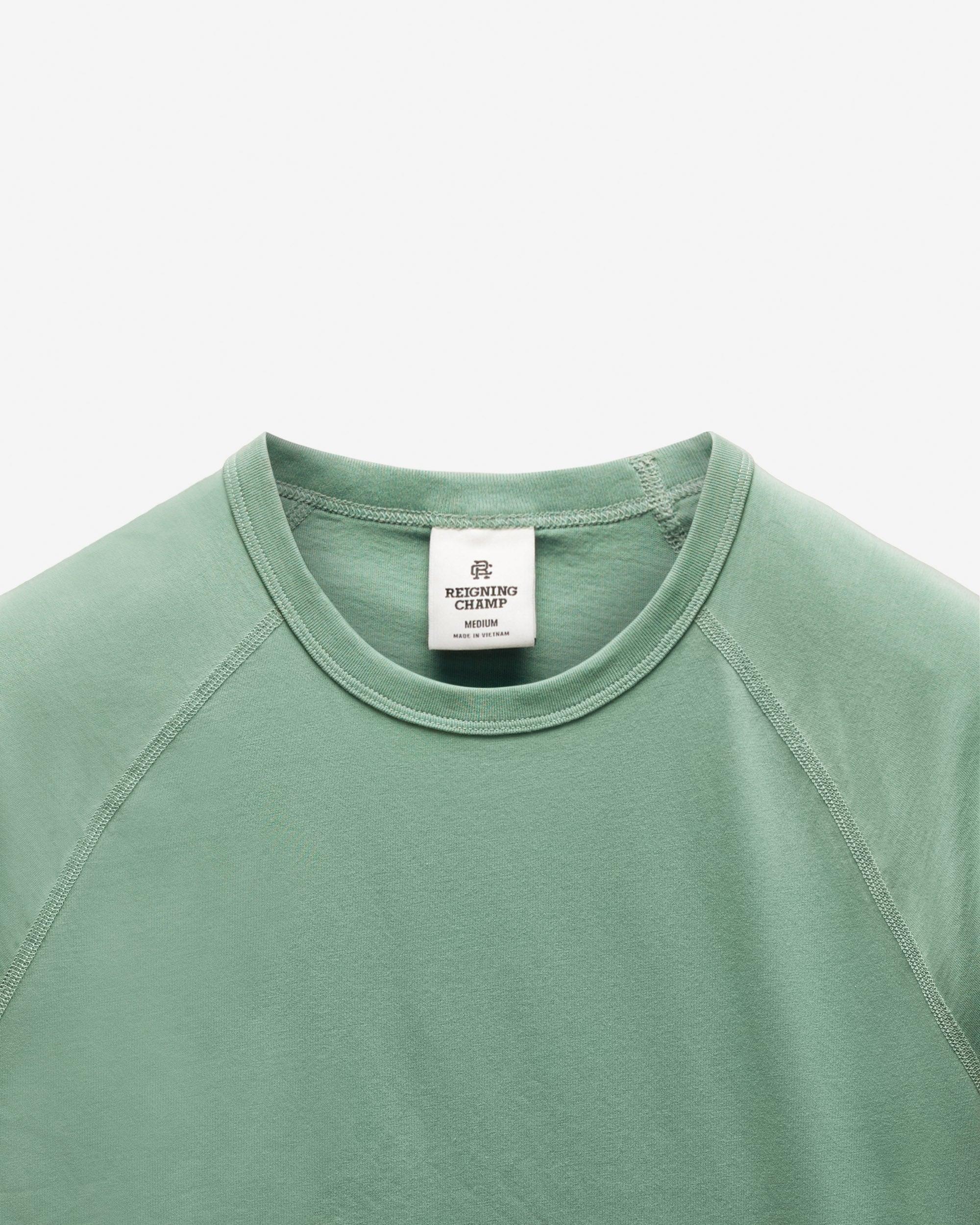 Lightweight Jersey Standard Raglan T-Shirt Male Product Image