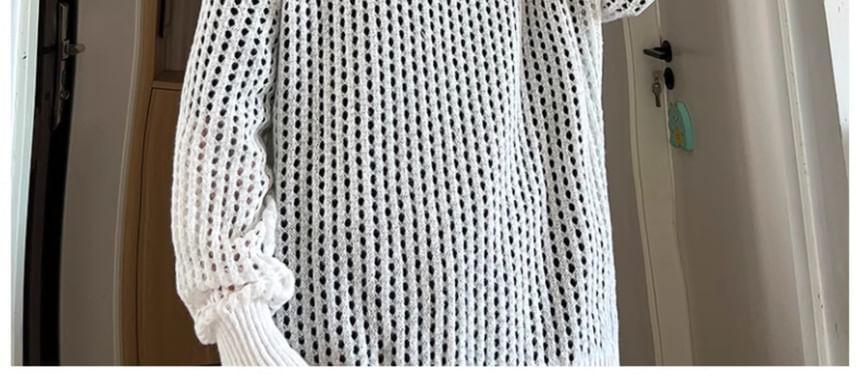 Crew Neck Plain Pointelle Knit Sweater Product Image
