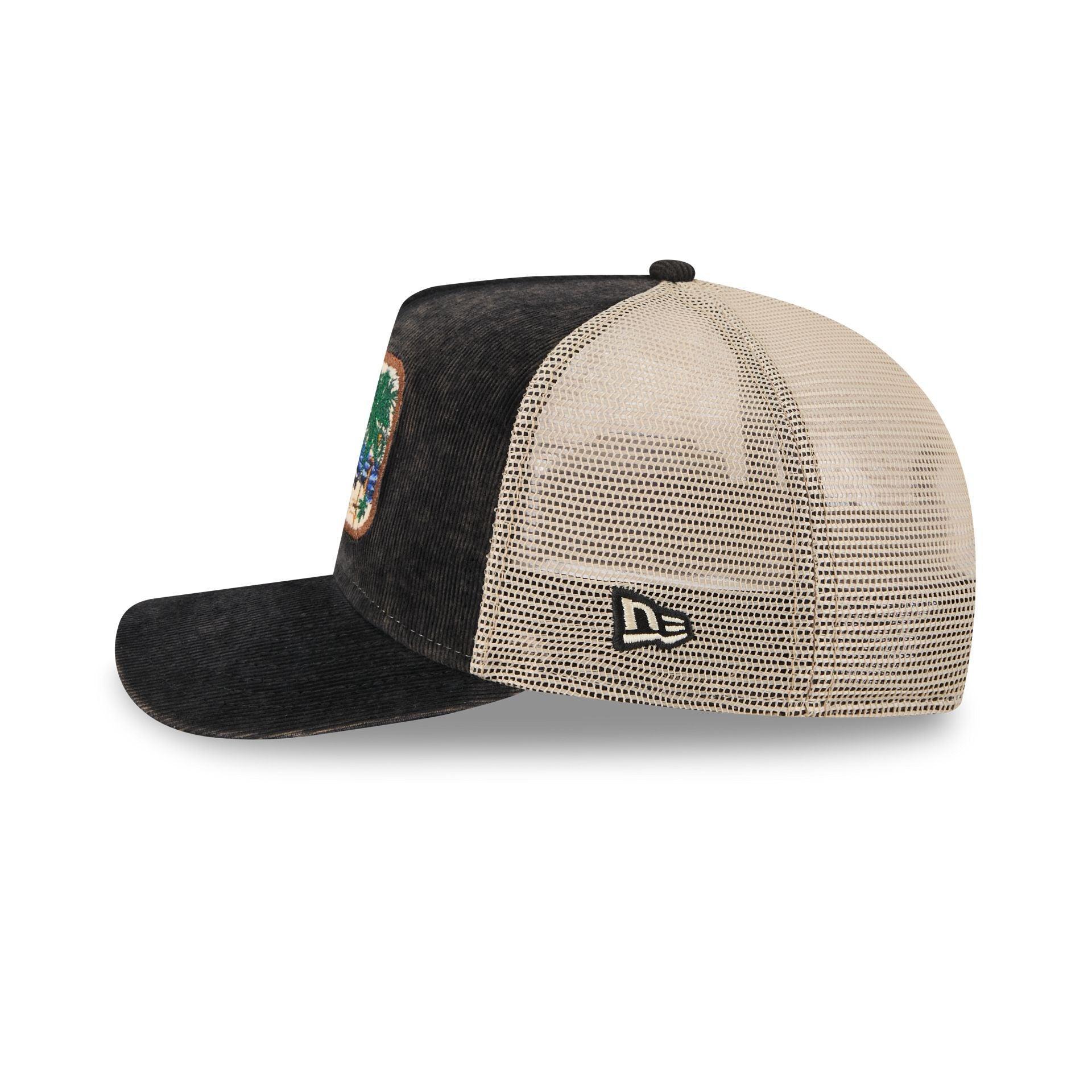 Los Angeles Kings Vintage Landscape 9FIFTY A-Frame Trucker Hat Male Product Image