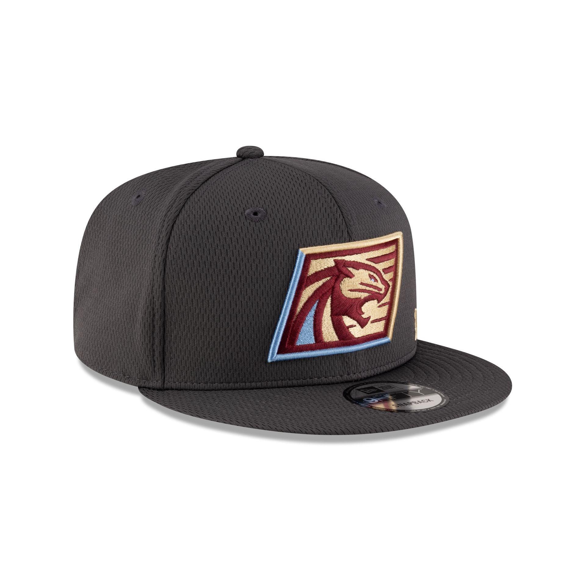 Phoenix Suns Basic 59FIFTY Fitted Hat Male Product Image