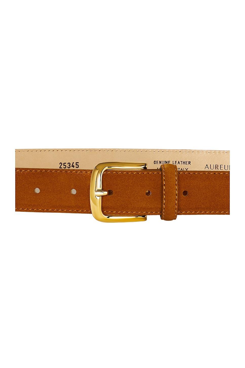Camel Suede Belt Product Image