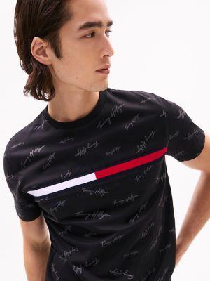 Signature Flag Stripe Logo T-Shirt Product Image
