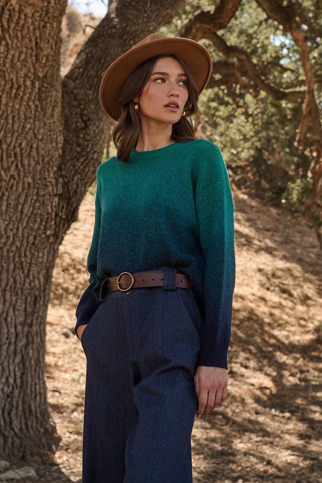 Nessa Gradient Ombre Long Sleeve Sweater Product Image