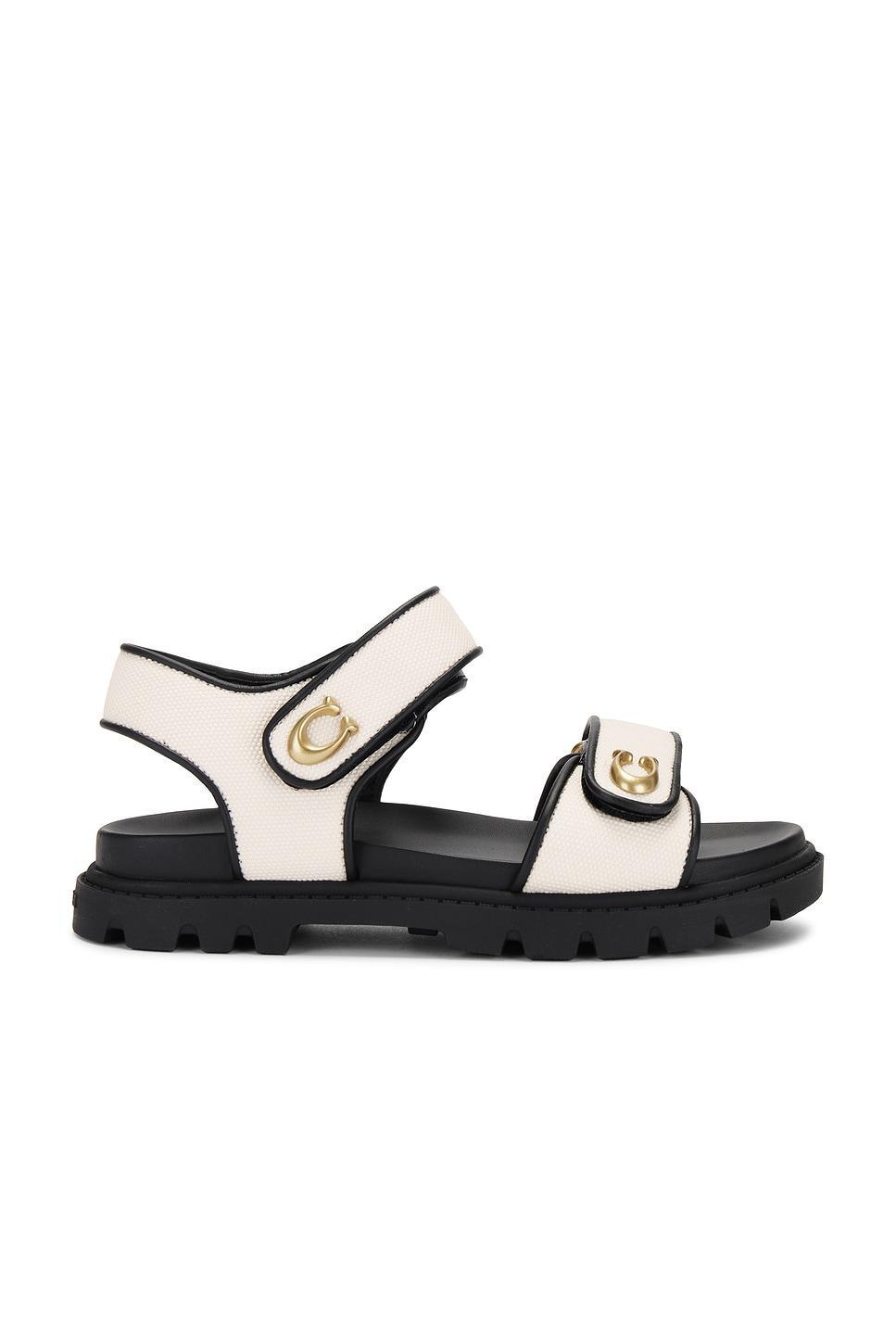 Brynn Sandal Coach Product Image