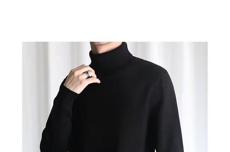 Turtleneck Plain Sweater Product Image