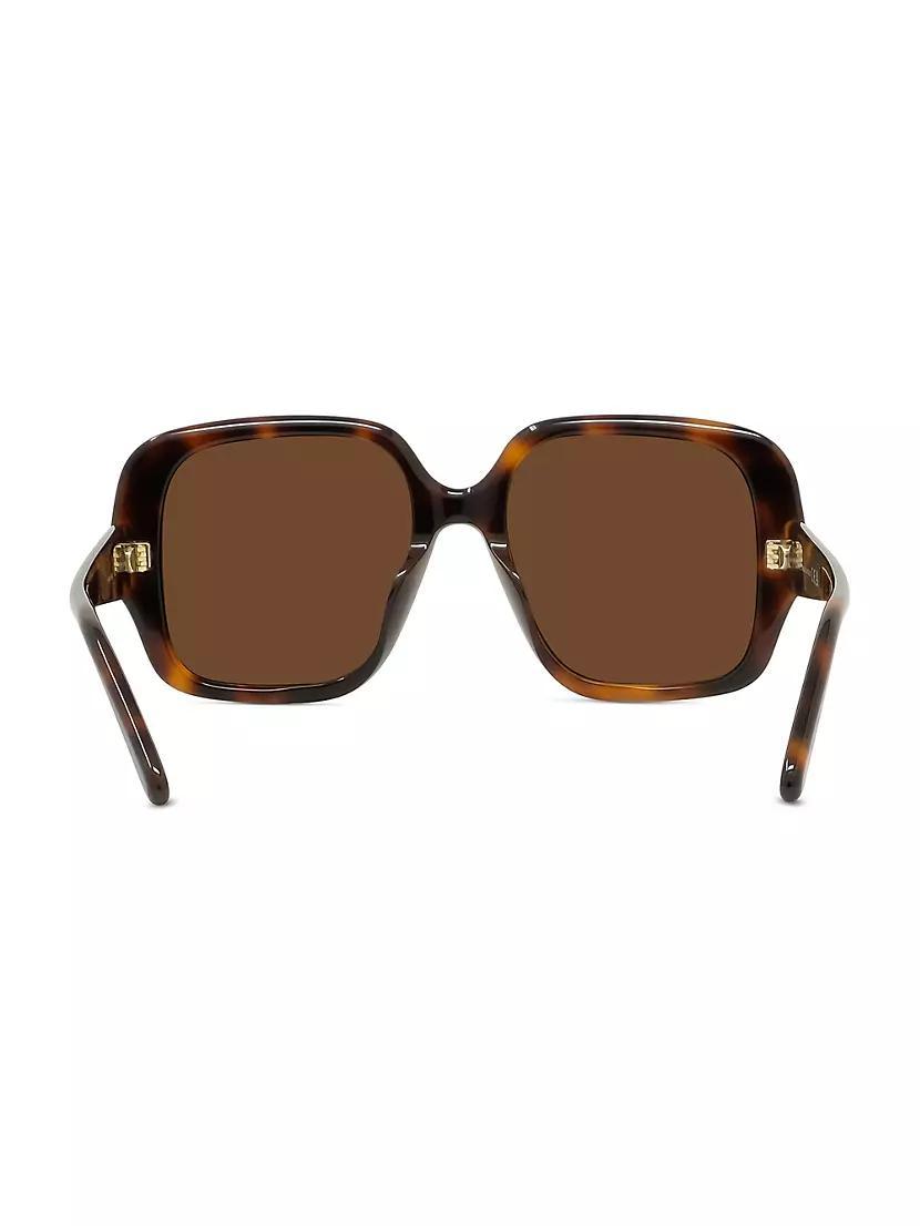 Womens Havana 54MM Square Sunglasses Product Image
